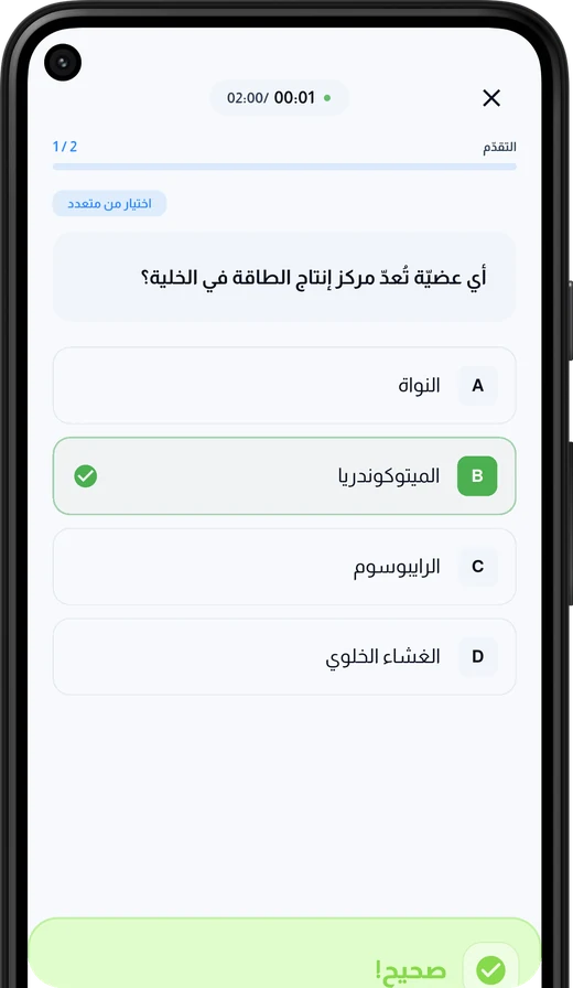 اختبر فهمك بأسئلة ذكية